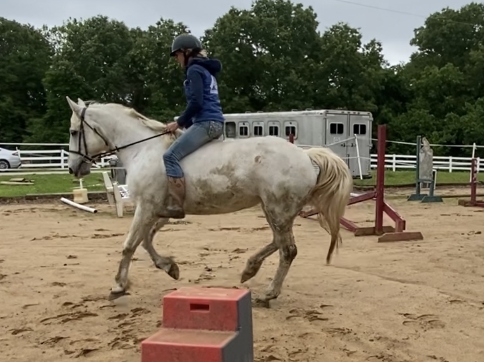 Zena Warrior Princess – Second Chance Thoroughbreds